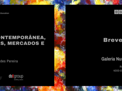 Flash Training Course: Arte Contemporânea, Artistas, Mercados e Redes – Galeria Nuno Centeno